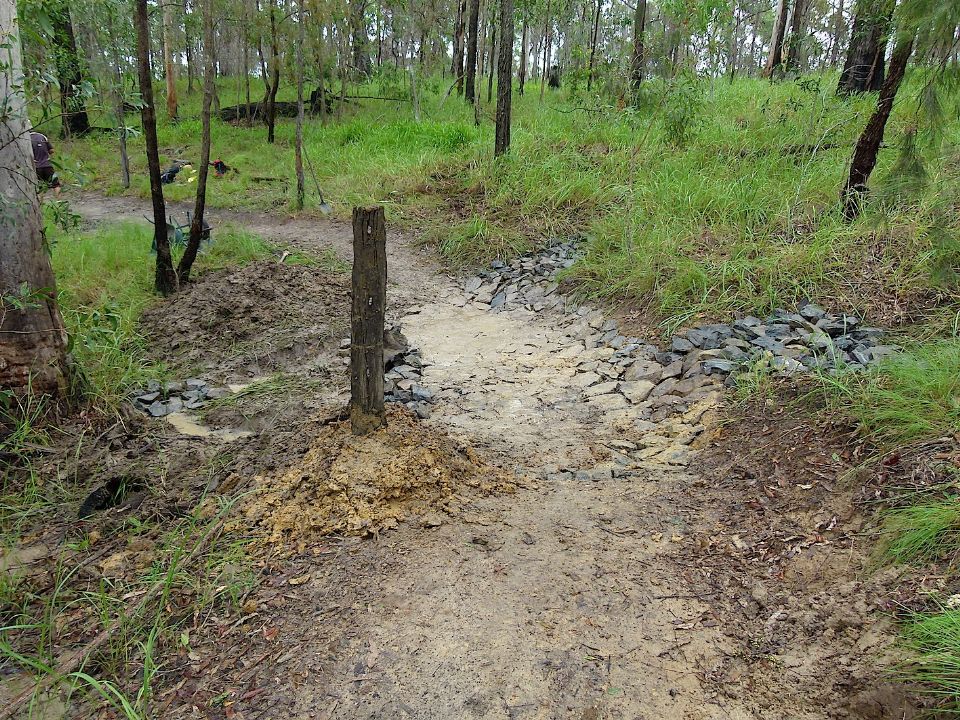 P1160293 copy.jpg